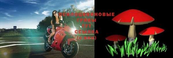 таблы Коряжма