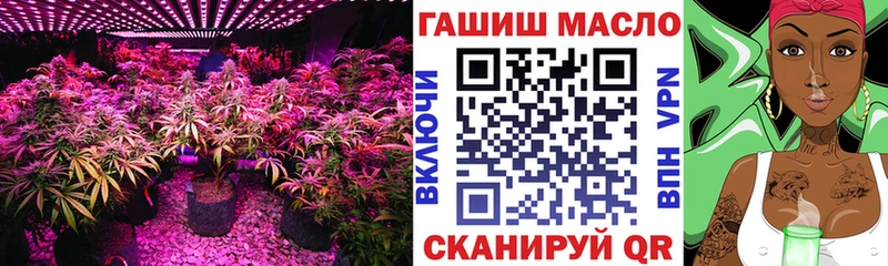 ТГК гашишное масло  Купить  Дербент